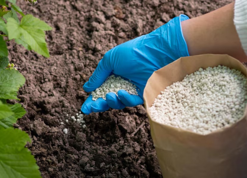 Bulk Fertilizer Supply