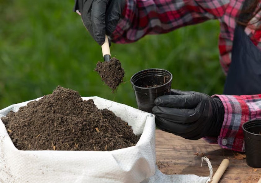 Organic Manure