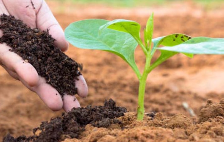 Agricultural Soil Conditioner