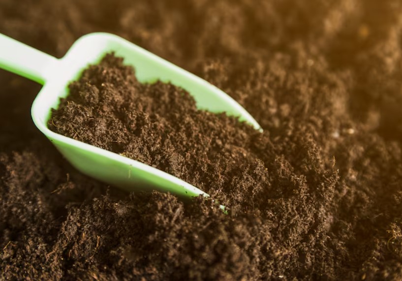 Vermicompost Organic Fertilizer